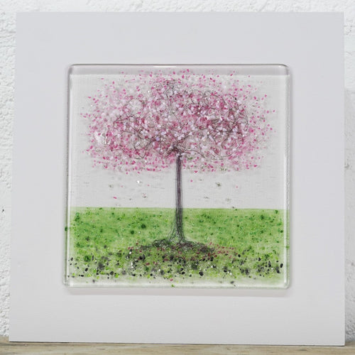 Large Pink Blossom Tree