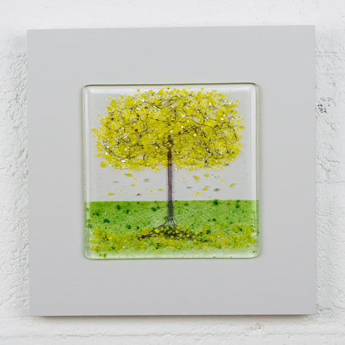 Small Yellow Blossom Tree