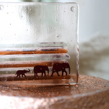 Load image into Gallery viewer, Elephant Coaster